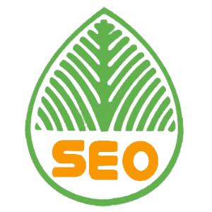 正定提升网站移动适配的注意事项
